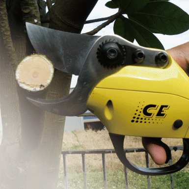 Electric branch shears